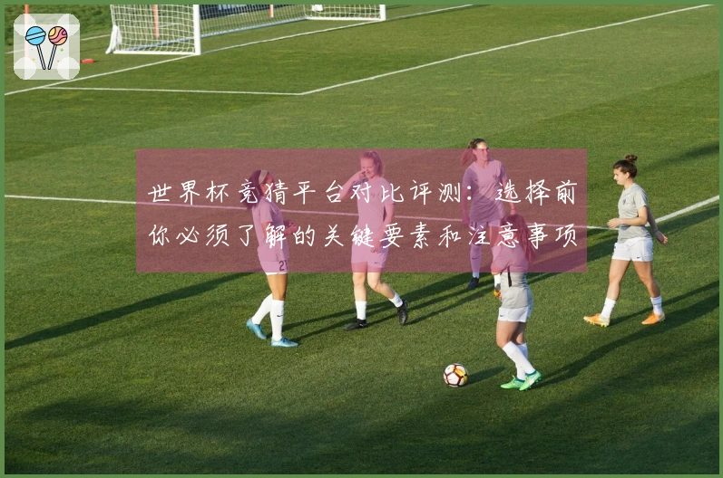 世界杯竞猜平台对比评测：选择前你必须了解的关键要素和注意事项