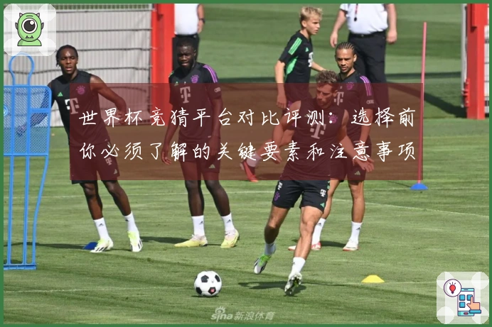 世界杯竞猜平台对比评测：选择前你必须了解的关键要素和注意事项