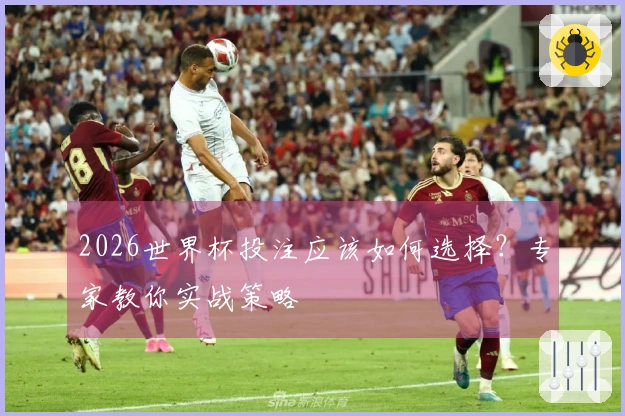 2026世界杯投注应该如何选择？专家教你实战策略
