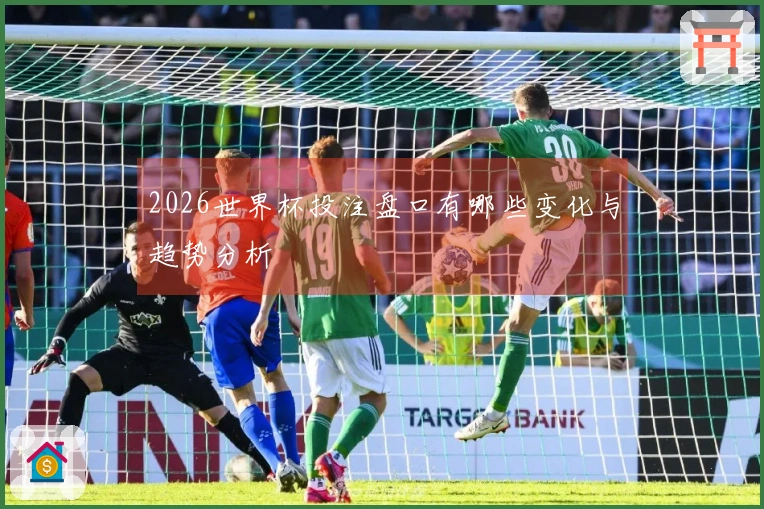 2026世界杯投注盘口有哪些变化与趋势分析