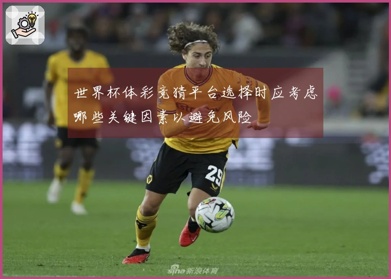 世界杯体彩竞猜平台选择时应考虑哪些关键因素以避免风险