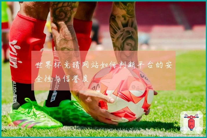 世界杯竞猜网站如何判断平台的安全性与信誉度