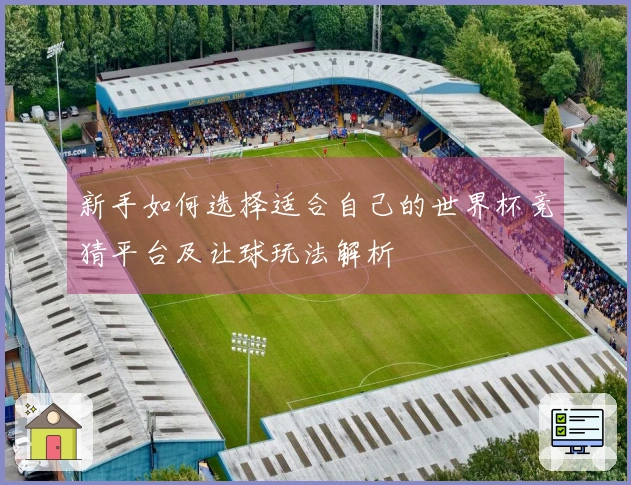 新手如何选择适合自己的世界杯竞猜平台及让球玩法解析