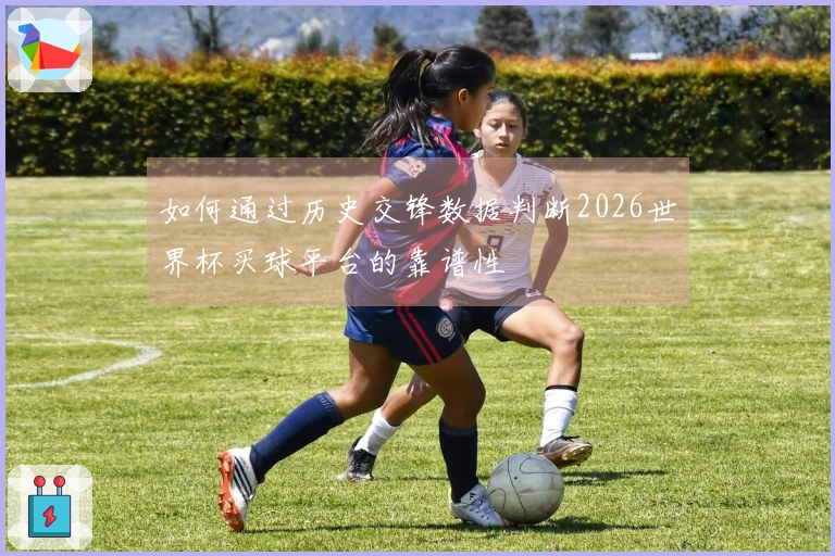 如何通过历史交锋数据判断2026世界杯买球平台的靠谱性