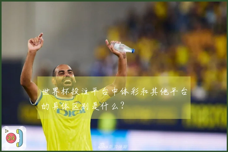 世界杯投注平台中体彩和其他平台的具体区别是什么？
