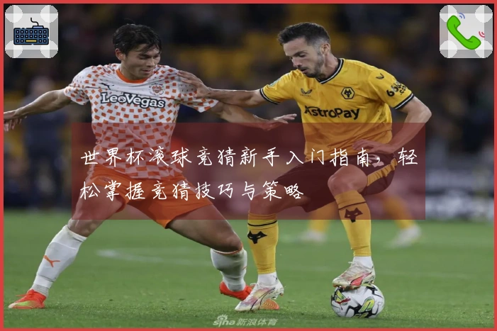 世界杯滚球竞猜新手入门指南，轻松掌握竞猜技巧与策略