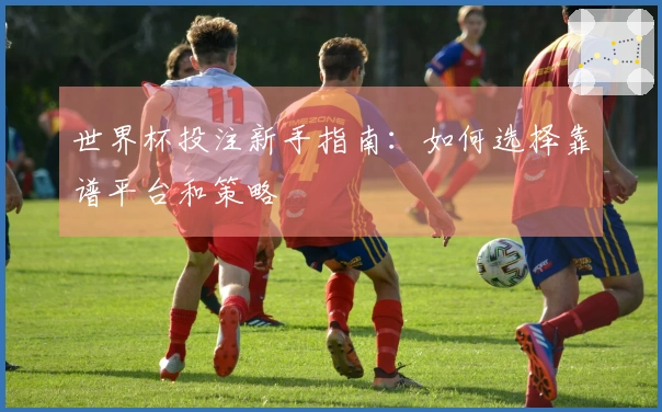 世界杯投注新手指南：如何选择靠谱平台和策略