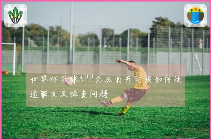 世界杯买球APP无法打开时该如何快速解决及排查问题