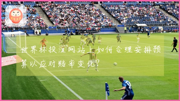 世界杯投注网站上如何合理安排预算以应对赔率变化？