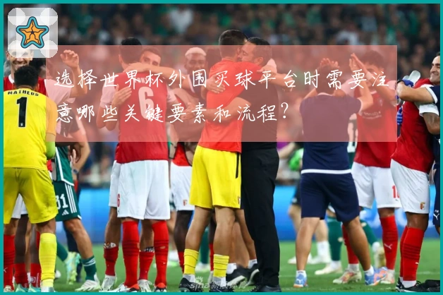 选择世界杯外围买球平台时需要注意哪些关键要素和流程？