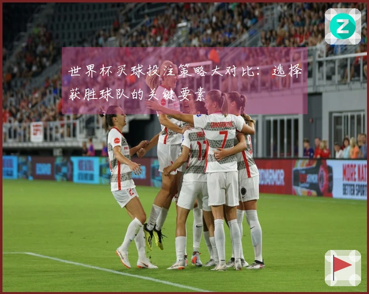 世界杯买球投注策略大对比：选择获胜球队的关键要素
