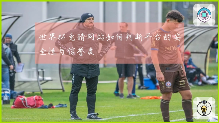世界杯竞猜网站如何判断平台的安全性与信誉度