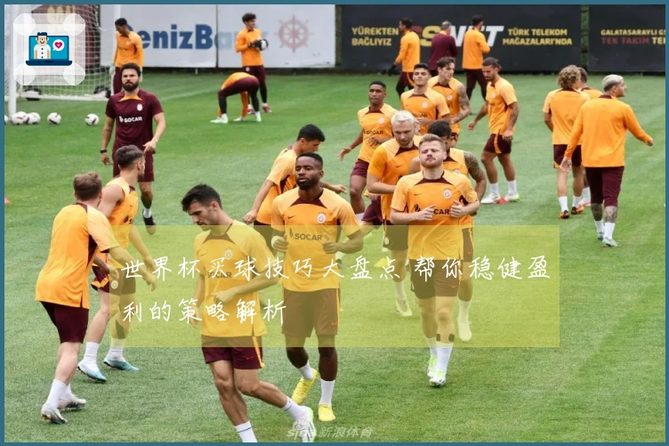 世界杯买球技巧大盘点 帮你稳健盈利的策略解析