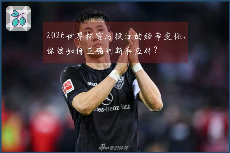 2026世界杯官方投注的赔率变化，你该如何正确判断和应对？