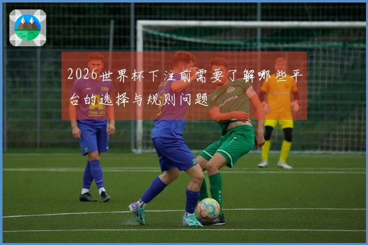 2026世界杯下注前需要了解哪些平台的选择与规则问题