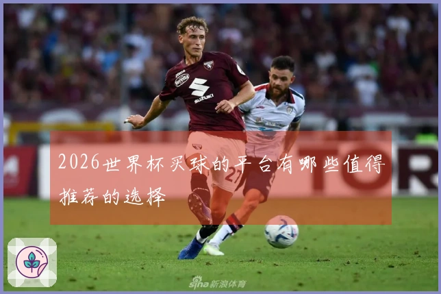 2026世界杯买球的平台有哪些值得推荐的选择