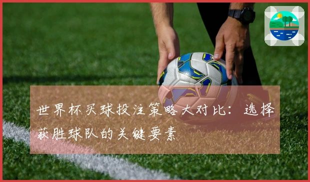 世界杯买球投注策略大对比：选择获胜球队的关键要素