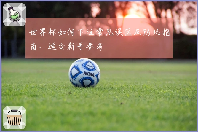 世界杯如何下注常见误区及防坑指南，适合新手参考