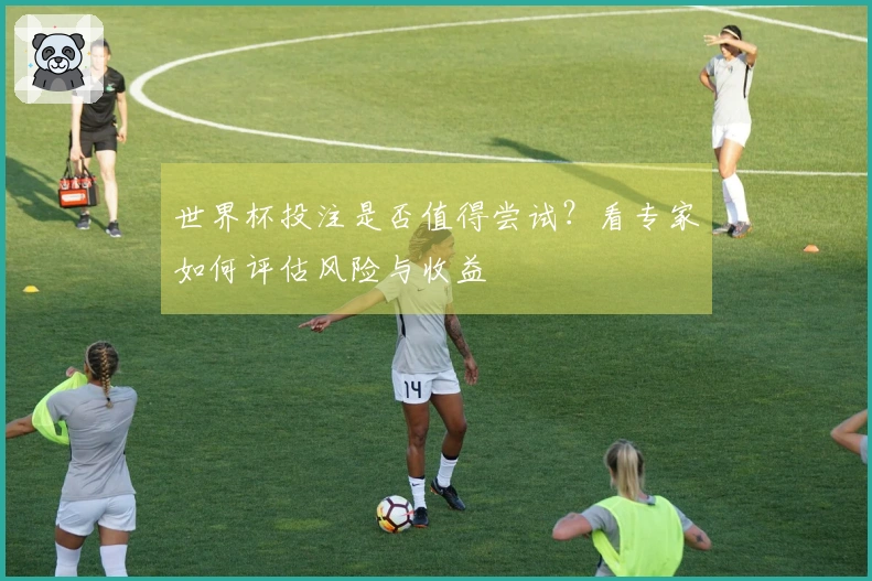 世界杯投注是否值得尝试？看专家如何评估风险与收益