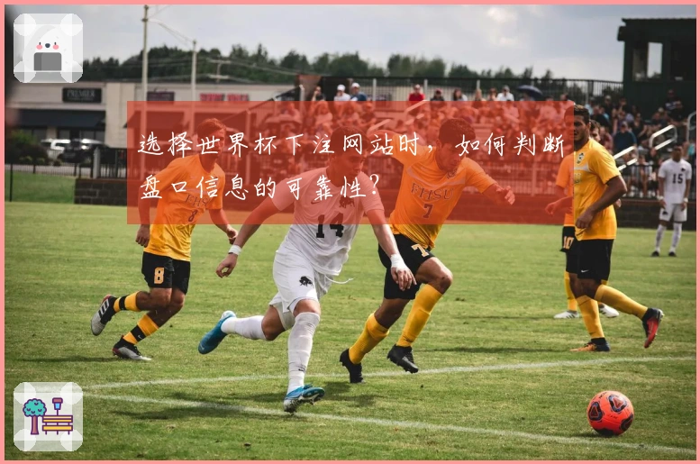 选择世界杯下注网站时，如何判断盘口信息的可靠性？