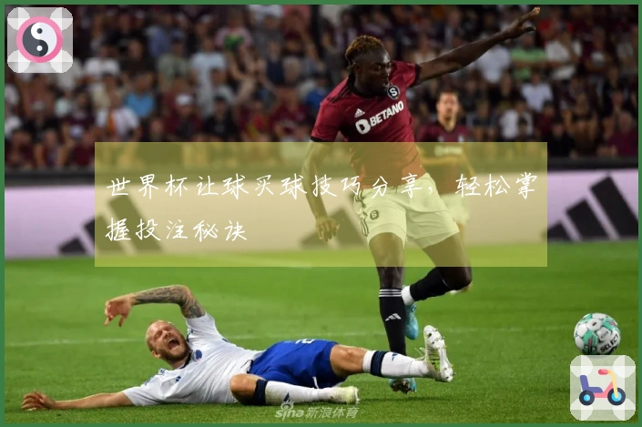 世界杯让球买球技巧分享，轻松掌握投注秘诀
