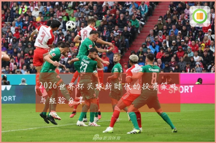 2026世界杯买球新时代的投资策略与经验分享