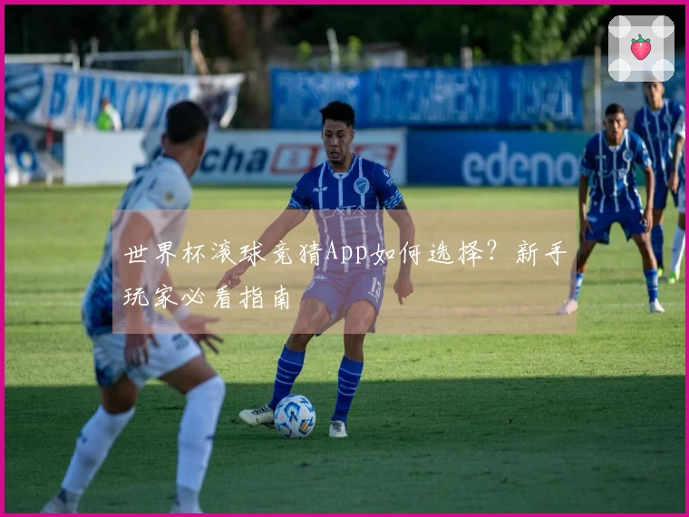 世界杯滚球竞猜App如何选择？新手玩家必看指南