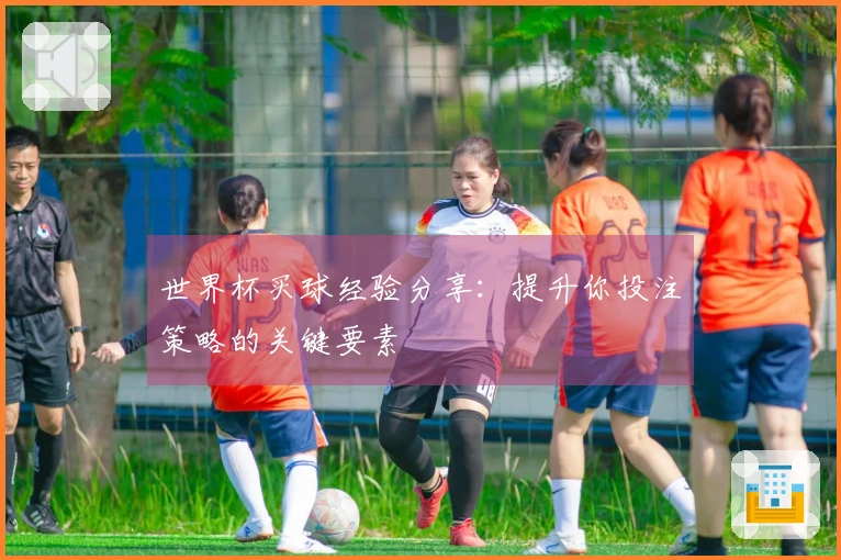 世界杯买球经验分享：提升你投注策略的关键要素