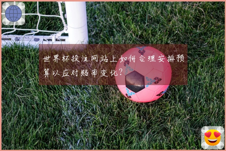 世界杯投注网站上如何合理安排预算以应对赔率变化？