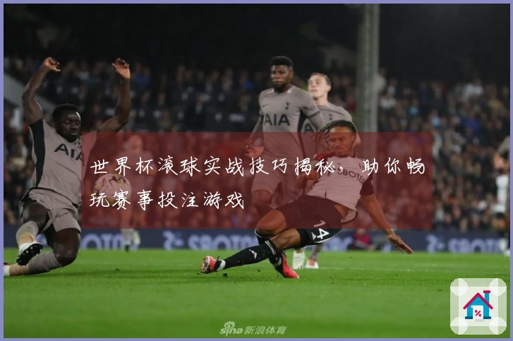 世界杯滚球实战技巧揭秘，助你畅玩赛事投注游戏