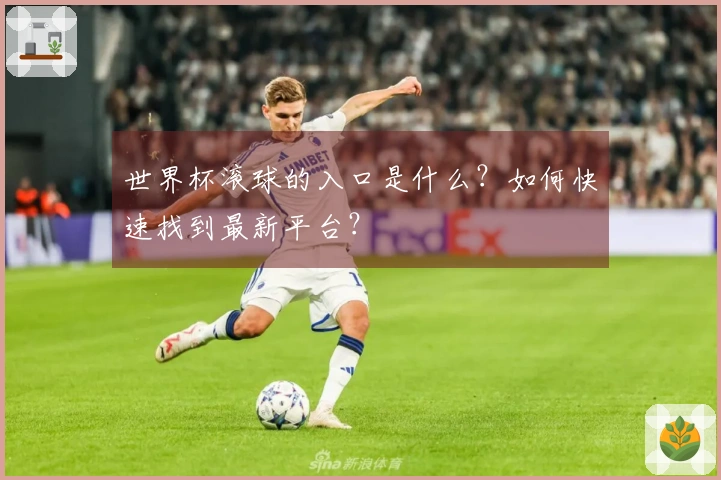 世界杯滚球的入口是什么？如何快速找到最新平台？